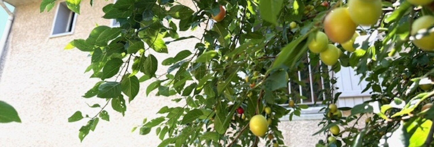 Maison 6 Pièces 118 m² à vendre à Chanteloup-les-Vignes (78570)