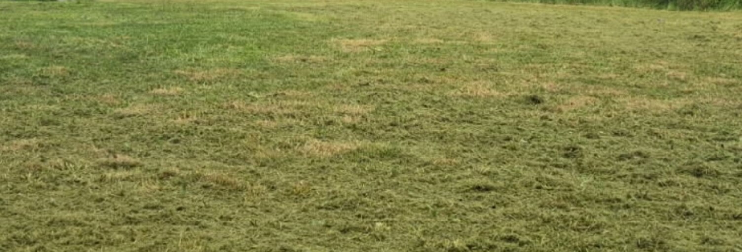 Terrain  300 m² à vendre à Saint-Julien-des-Landes (85150)