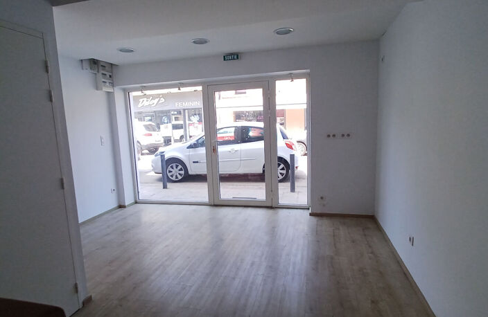 Blagnac  Murs locaux commerciaux et habitation 162 m2 sur terrain 378m² — photo 4