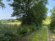 le Clos des Lys (La Paquelais) — photo 4