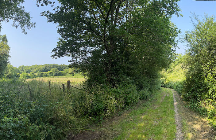le Clos des Lys (La Paquelais) — photo 4