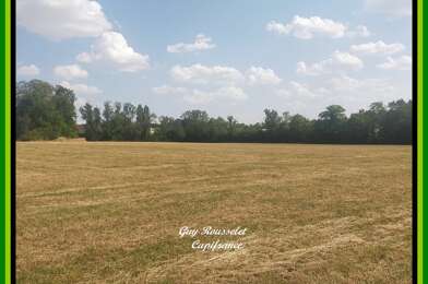 Terrain  105000 €