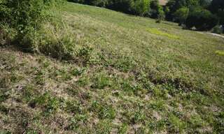 Terrain  2728 m² à vendre à Rogny-les-Sept-Écluses (89220)