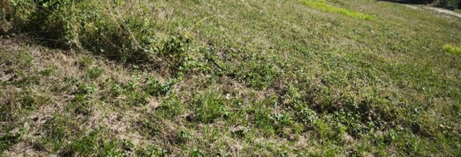 Terrain  2728 m² à vendre à Rogny-les-Sept-Écluses (89220)