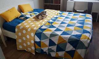 Appartement 1 Pièce 13 m² à louer à Lyon 5 (69005)