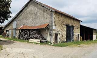 Photo N° 3