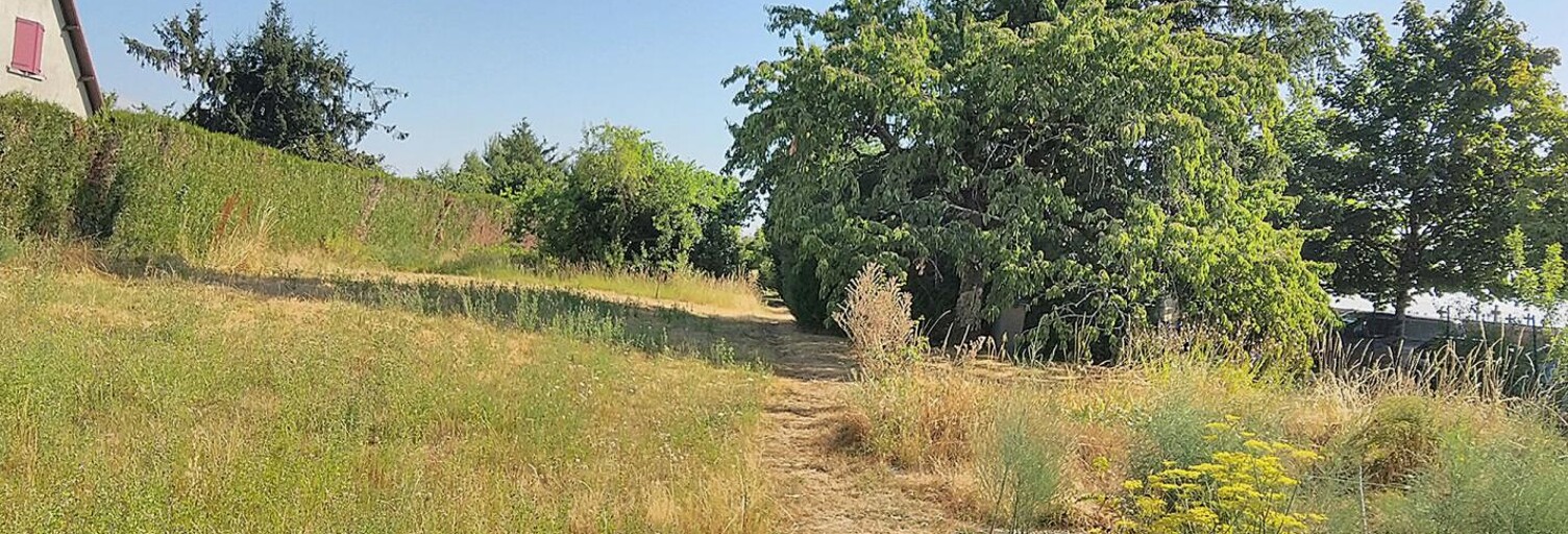 Terrain  2541 m² à vendre à Châteauroux (36000)