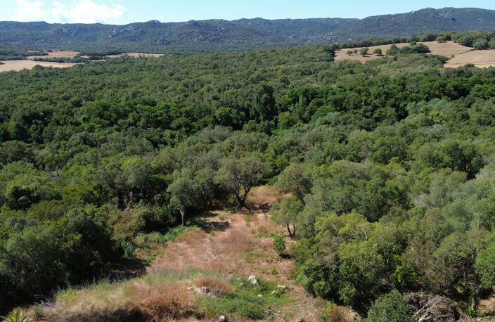 SITUÉE ENTRE PORTO-VECCHIO ET FIGARI, DÉCOUVREZ VOTRE VILLA — photo 5
