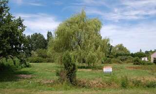 Terrain  1275 m² à vendre à Étauliers (33820)