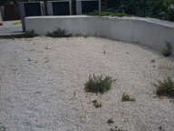 Local commercial ou professionnel RDC + Exterieur — photo 3