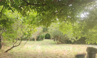 Terrain  1000 m² à vendre à Beaulieu-sur-Loire (45630)