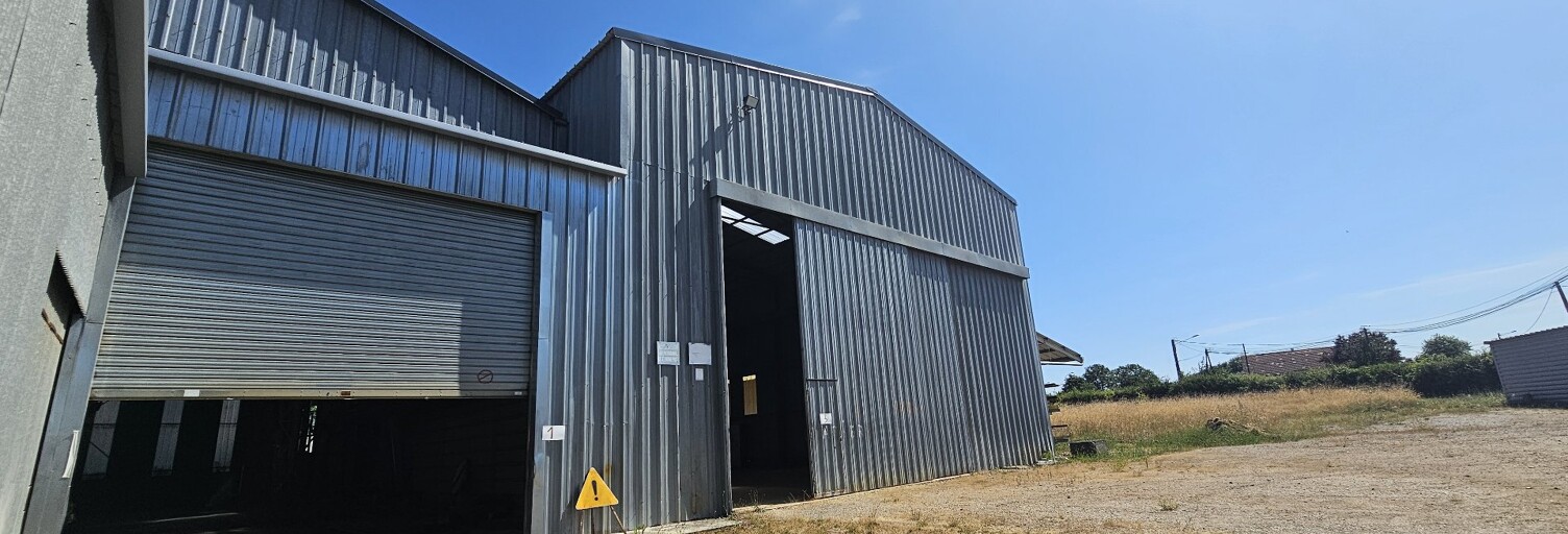 Commerce  2080 m² à vendre à Le Pêchereau (36200)