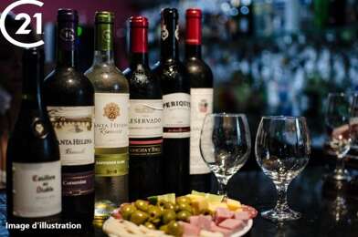 Commerce  350000 €