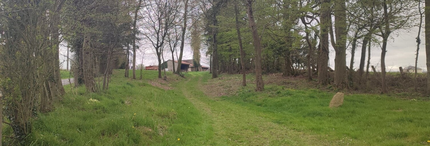 Photo N° 2