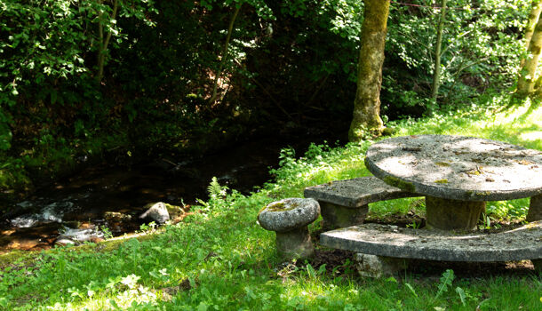 Villa / Maison 5 pièces  à vendre Coubisou 12190