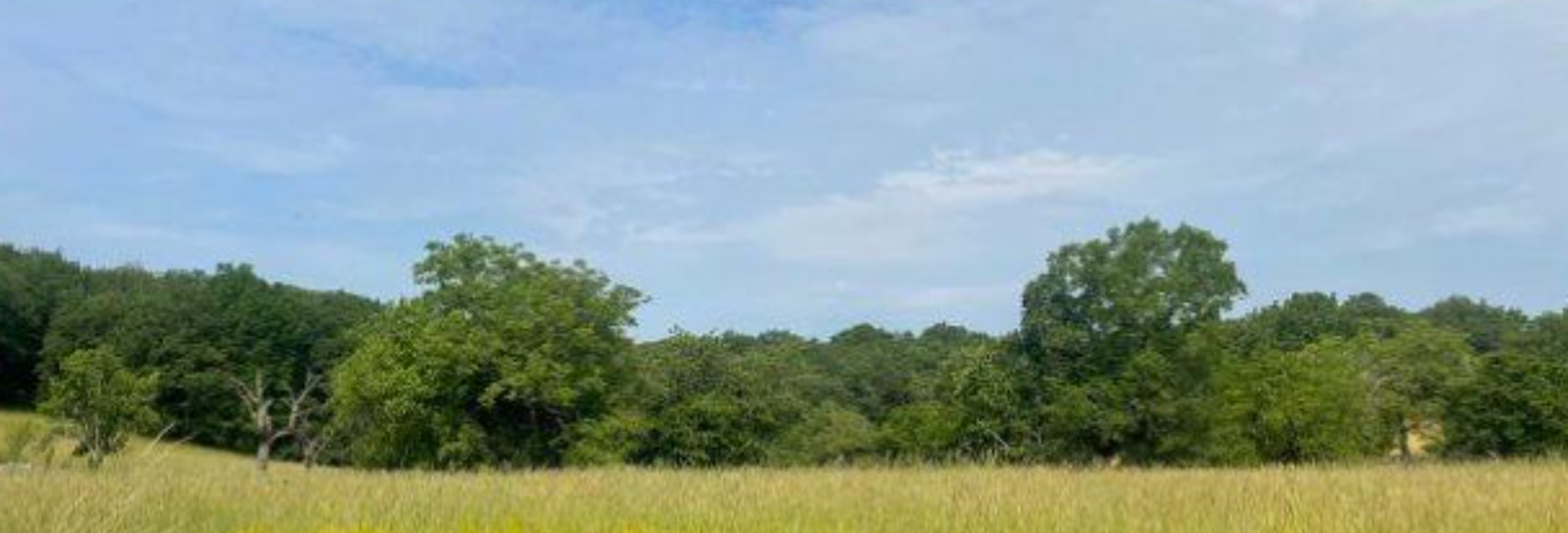 Terrain  2619 m² à vendre à Cambes (46100)