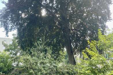 Maison 3 pièces 349000 €