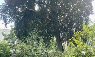 Maison 3 Pièces 65 m² à vendre à Clamart (92140)