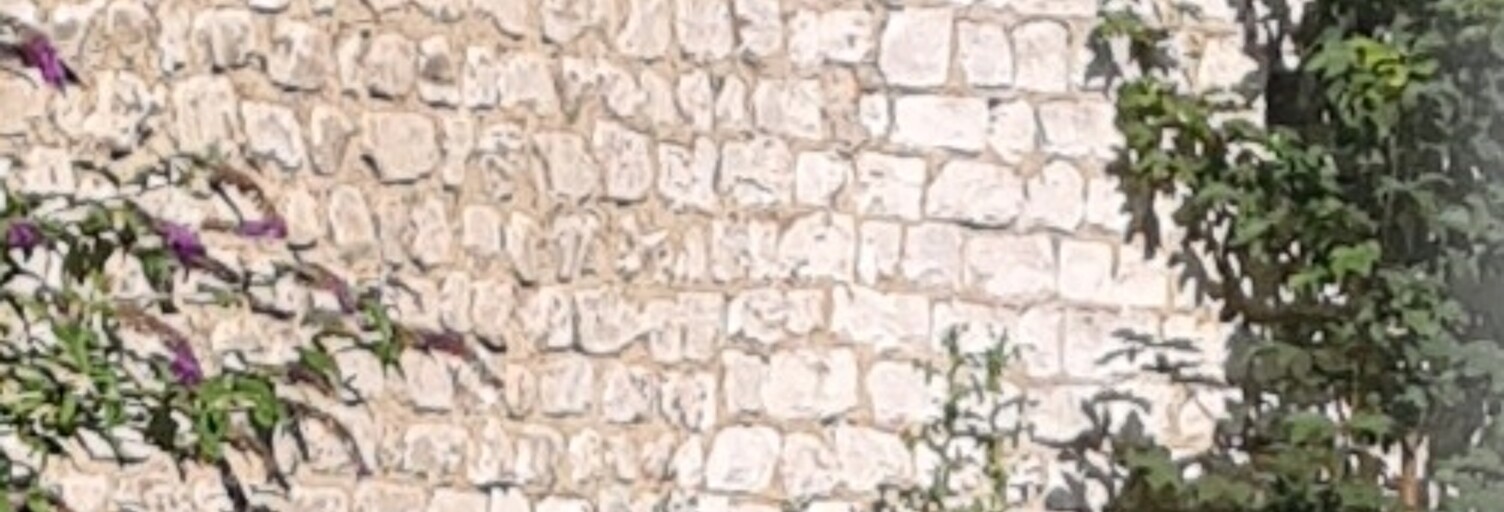 Garage  12 m² à vendre à Reims (51100)