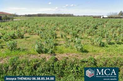 Terrain  50500 €