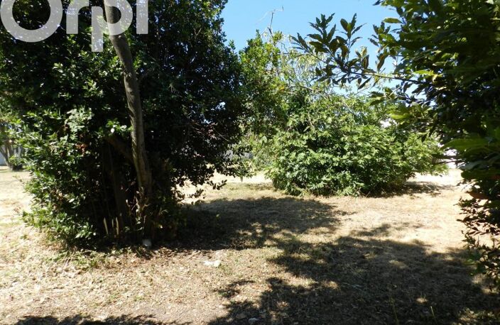 RARE À LA VENTE – TERRAIN CONSTRUCTIBLE VIABILISÉ CÔTÉ EST DE L’ÎLE D’OLÉRON — photo 3