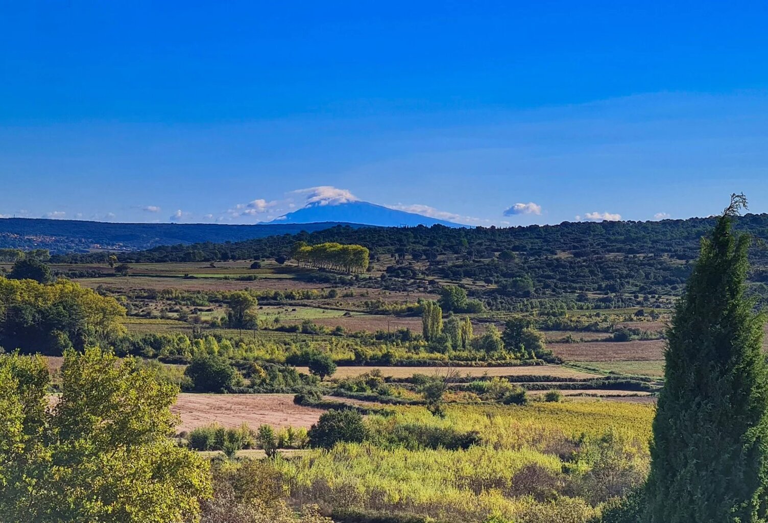 Maison de charme à Blauzac, à seulement 8 kms d’Uzès — photo 1