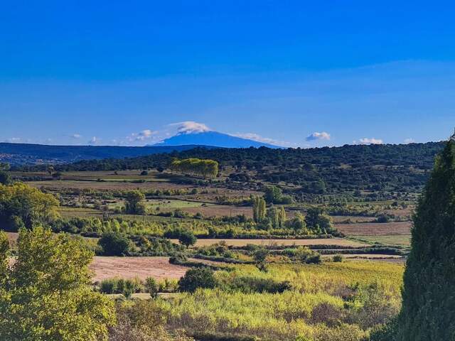 Maison de charme à Blauzac, à seulement 8 kms d’Uzès — photo du bien