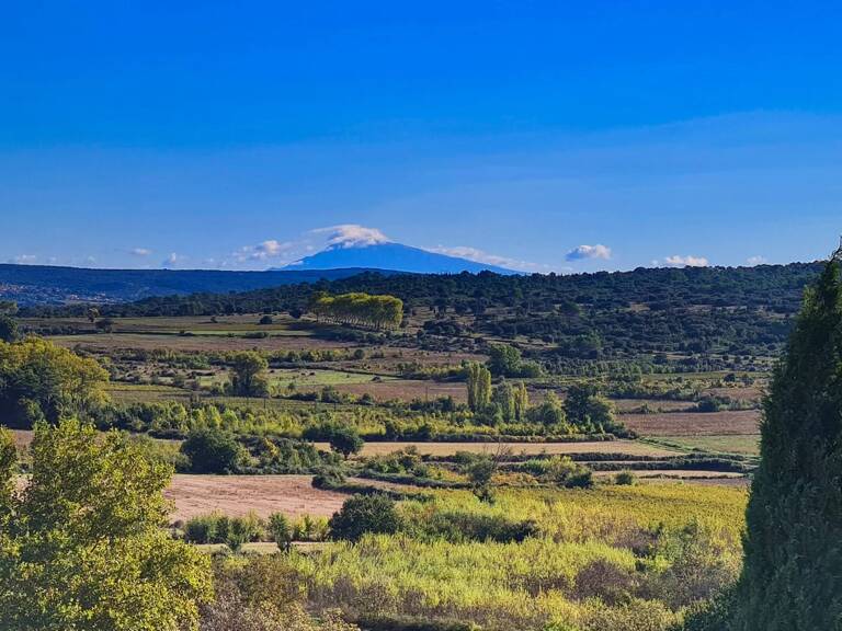 Maison de charme à Blauzac, à seulement 8 kms d’Uzès — photo 1