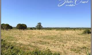 Terrain  836 m² à vendre à Alignan-du-Vent (34290)