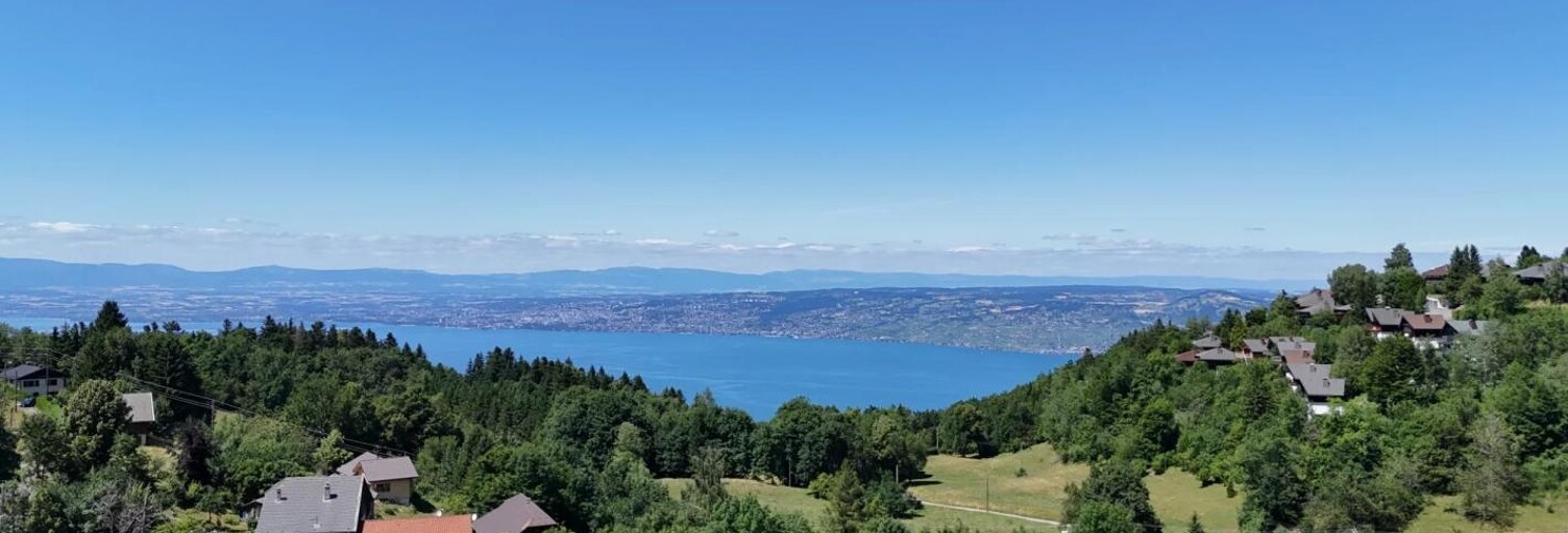 Maison 6 Pièces 92 m² à vendre à Thollon-les-Mémises (74500)