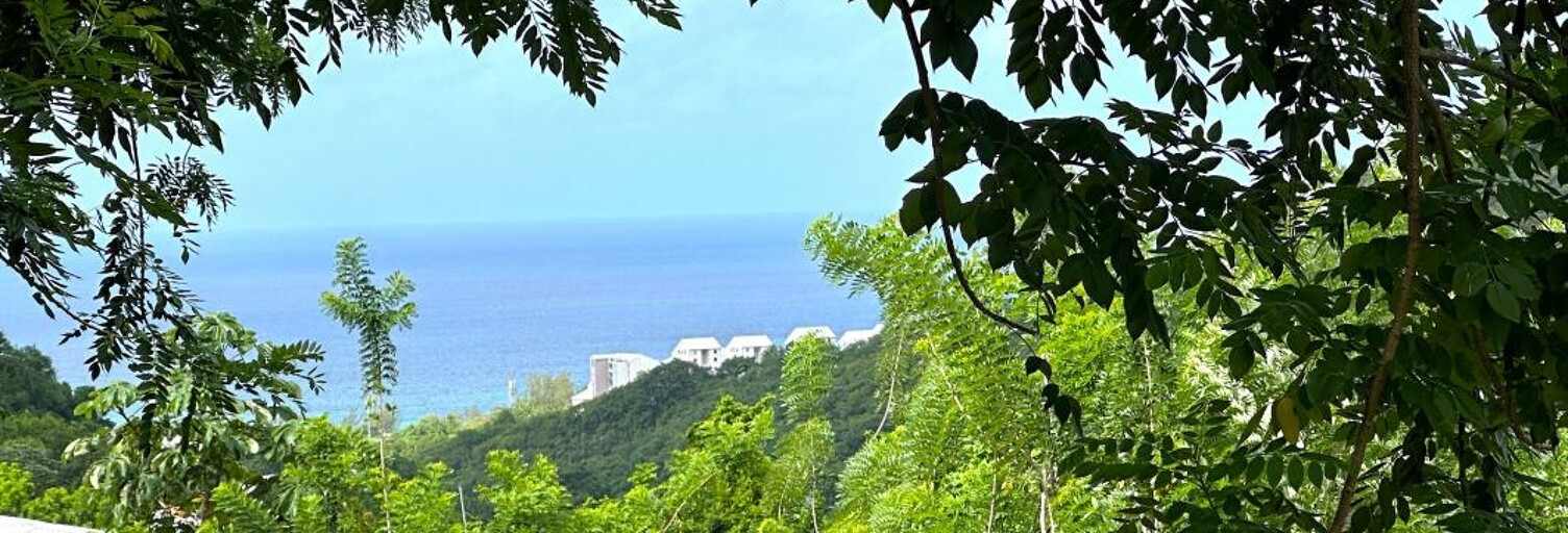 Terrain  922 m² à vendre à Sainte-Luce (97228)