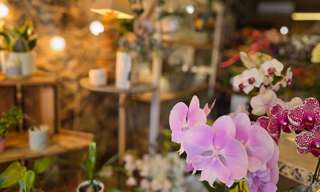 Commerce  70 m² à vendre à Saint-Pierre (97410)