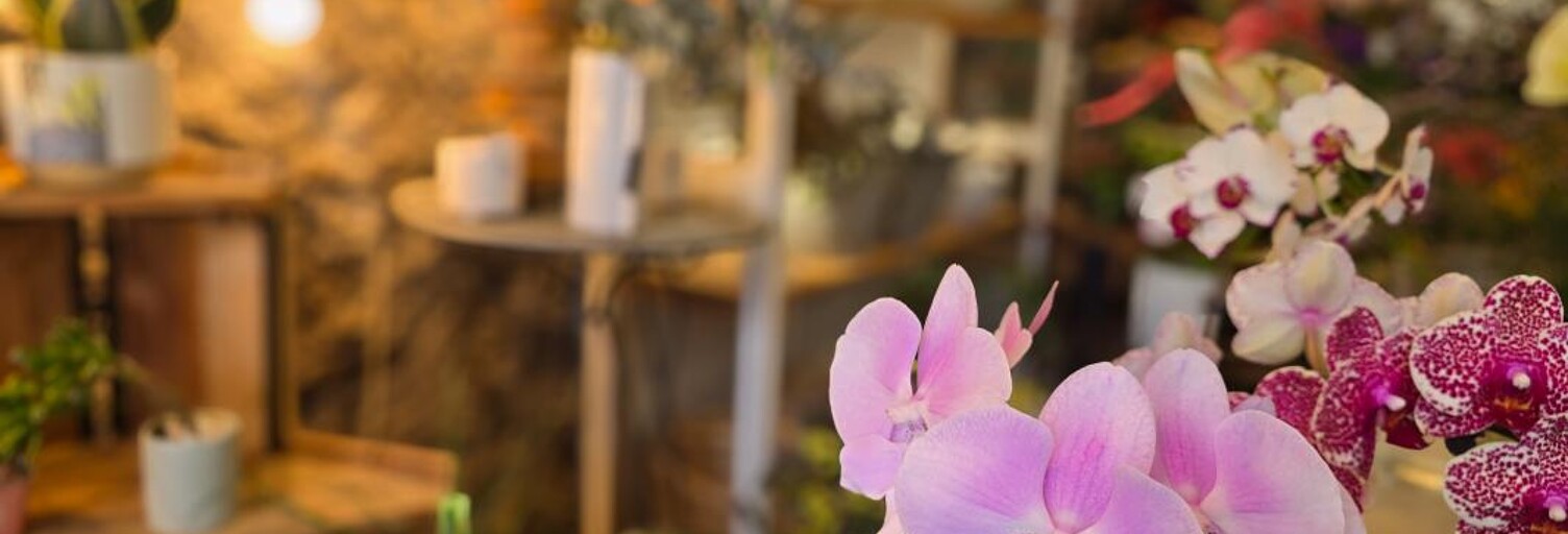 Commerce  70 m² à vendre à Saint-Pierre (97410)