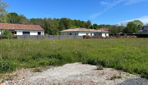Terrain  à vendre Saubion 40230