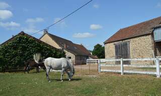 Maison 11 Pièces 260 m² à vendre à Charbonnat (71320)