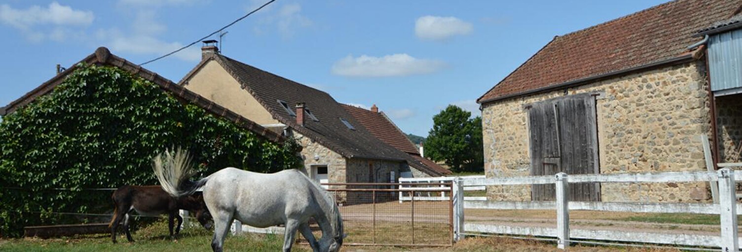 Maison 11 Pièces 260 m² à vendre à Charbonnat (71320)