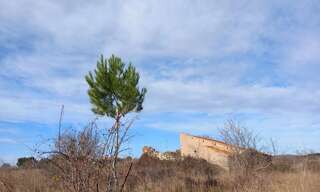 Photo N° 6