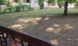 Maison 5 Pièces 140 m² à vendre à Lalinde (24150)