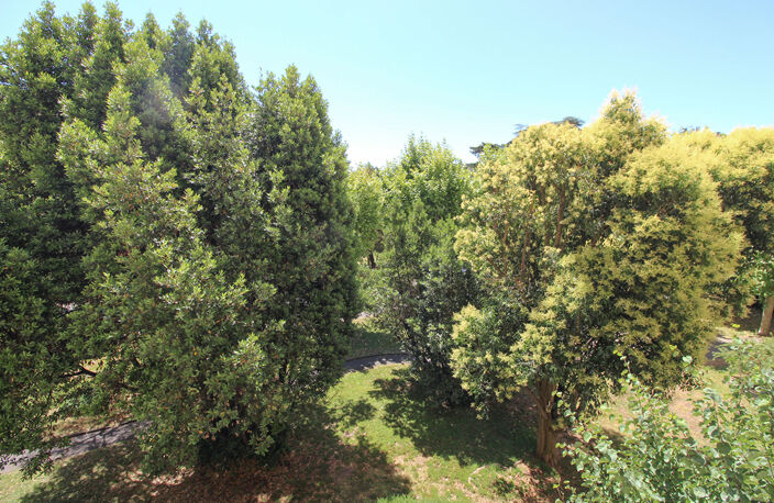 Nice - Le Ray - 3 pièces 64 m² — photo 5