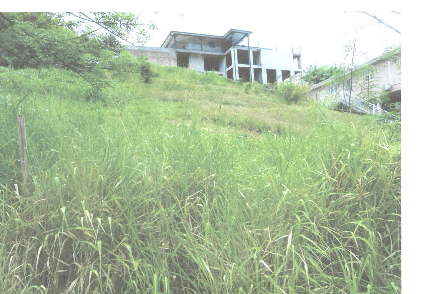 AV terrain à bâtir 922 m2  97228 Sainte Luce lieudit Deville — photo 1