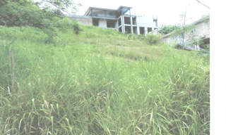 Terrain  922 m² à vendre à Sainte-Luce (97228)