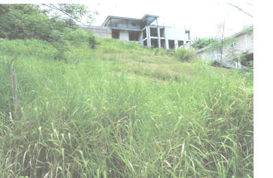 AV terrain à bâtir 922 m2  97228 Sainte Luce lieudit Deville — photo du bien