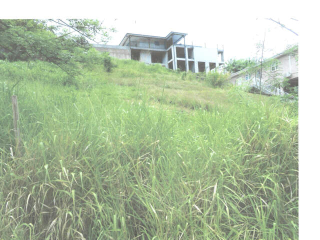 AV terrain à bâtir 922 m2  97228 Sainte Luce lieudit Deville — photo du bien