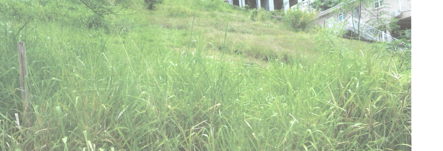 Terrain  922 m² à vendre à Sainte-Luce (97228)