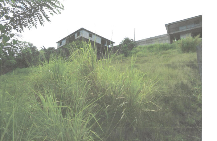 AV terrain à bâtir 922 m2  97228 Sainte Luce lieudit Deville — photo 2