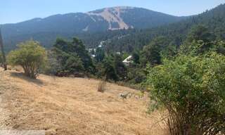 Terrain  800 m² à vendre à Caille (06750)