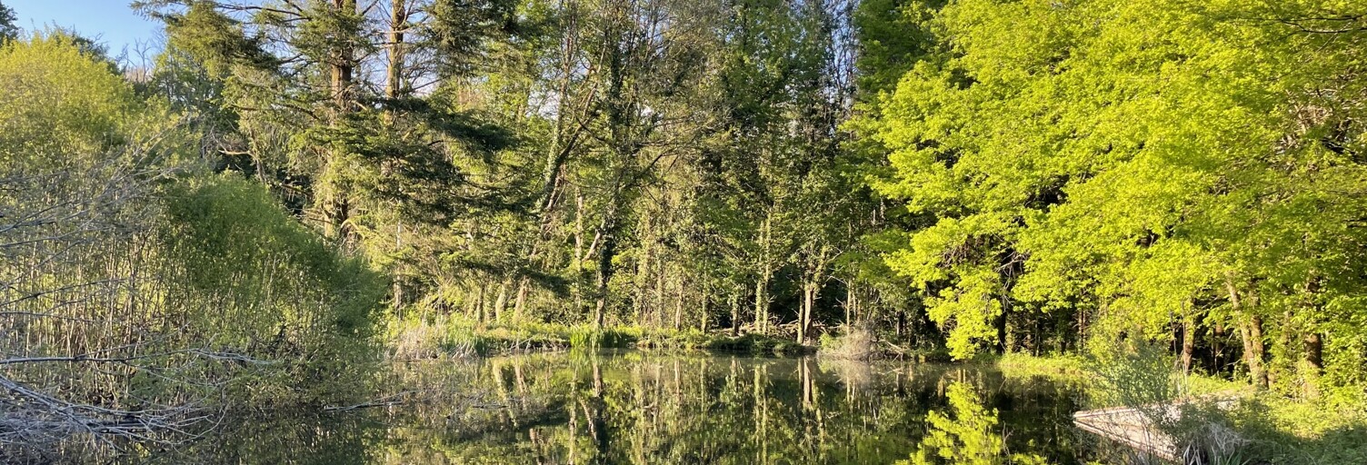 Terrain  54604 m² à vendre à Naves (19460)