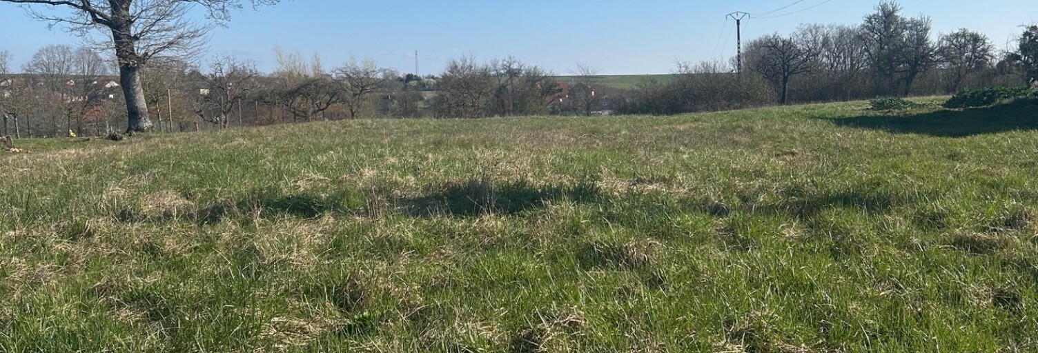 Terrain  2403 m² à vendre à Guenviller (57470)
