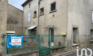 Maison 10 Pièces 339 m² à vendre à Pépieux (11700)