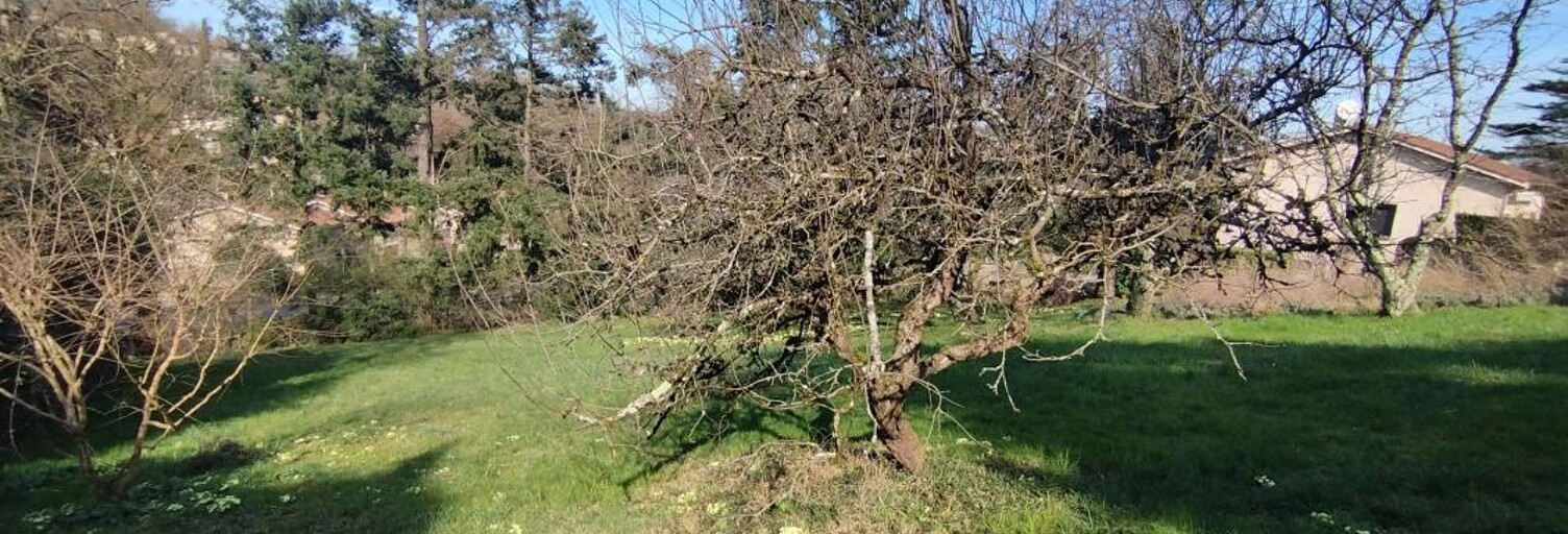 Terrain  703 m² à vendre à Curis-au-Mont-d'Or (69250)